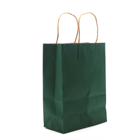 12x Bolsa de Papel con Asa (16x22x8cm) - Verde (130g)