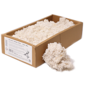 Musgo de Reno para Decoracion  - Blanco - (aprox. 500 g)