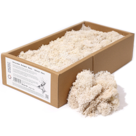 Musgo de Reno para Decoracion  - Natural - (aprox 500gm)