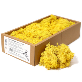 Musgo de Reno para Decoracion - Amarillo - (aprox 500gm)