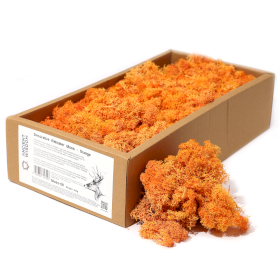 Musgo de Reno para Decoracion  - Naranja - (aprox 500gm)