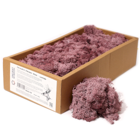 Musgo de Reno para Decoracion  - Morado - (500gm aprox)