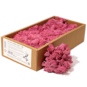 Musgo de Reno para Decoracion  - Rosa - (500gm aprox)