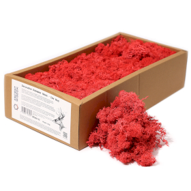 Musgo de Reno para Decoracion - Rojo - (500gm aprox)