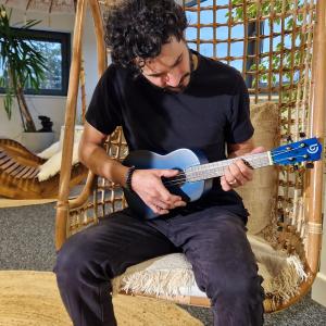 Reventa de ukelele artesanal